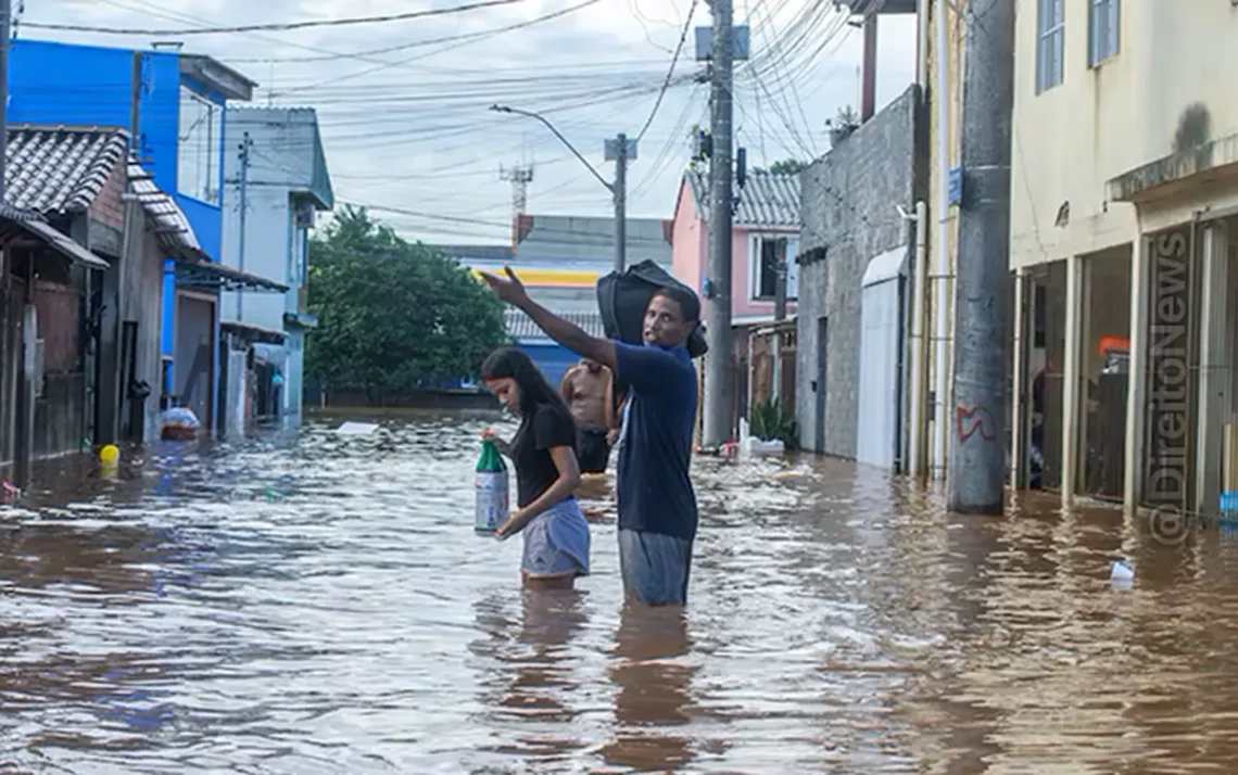 golpes, na doação, fraudes financeiras;