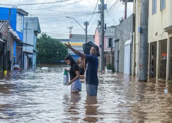 golpes, na doação, fraudes financeiras;