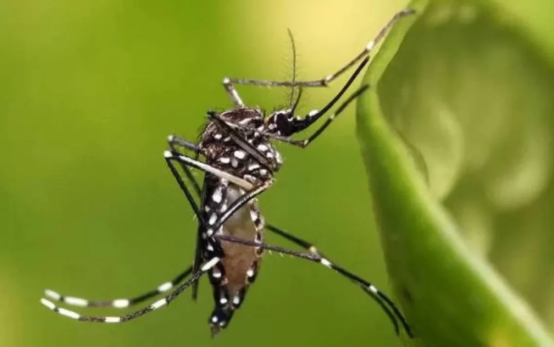 epidemias, infecções;