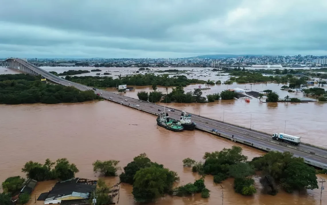 estados, região, Consorcíos, Nordeste, grupo;