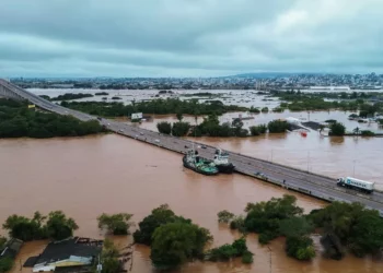 estados, região, Consorcíos, Nordeste, grupo;