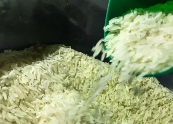 rice;