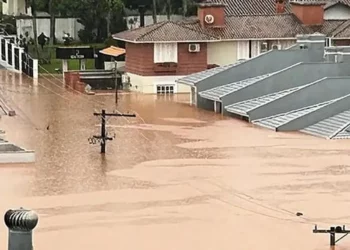 reconstrução, ajuda, assistência;