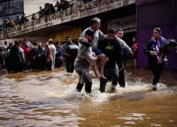 doença, bacteriana, infecção, transmitida pela, urina de, animais, Leptospira;