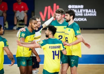 seleção, brasileira, equipe, verde-amarela