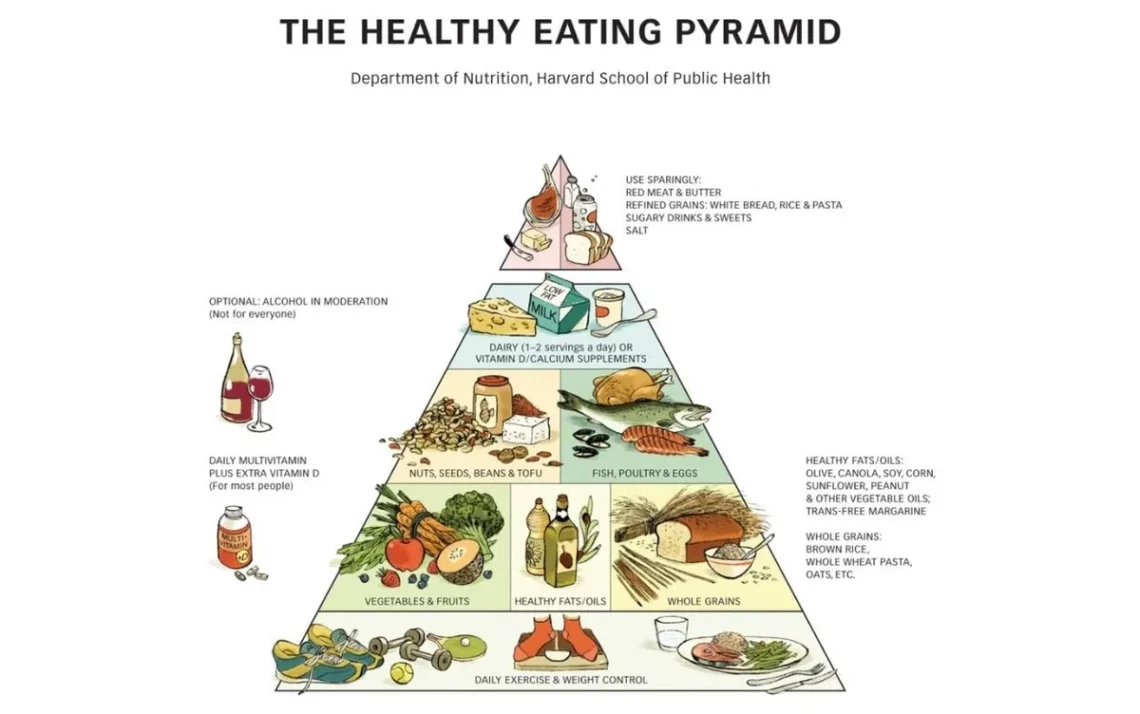pirâmide, alimentar, dieta, saudável, estilo, de vida, saudável;